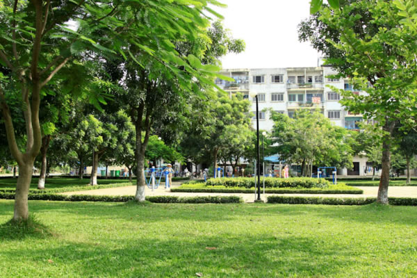 Cây xanh công trình Hà Tĩnh