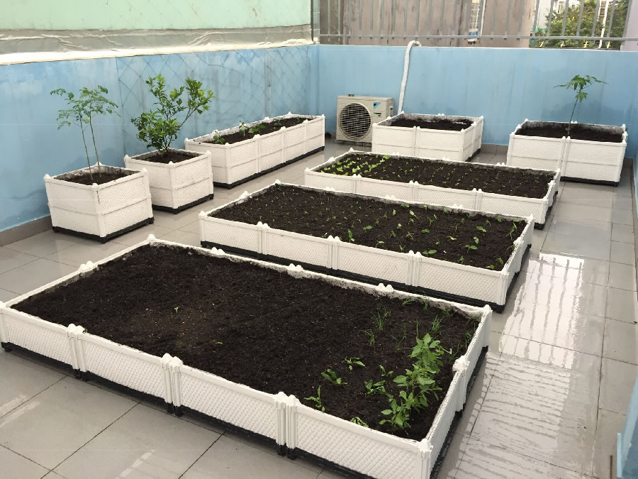 Chậu nhựa ghép thông minh trồng cây rau hoa