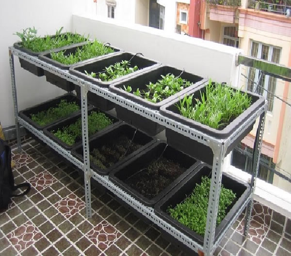Giá kệ sắt V lỗ trồng vườn cây rau hoa